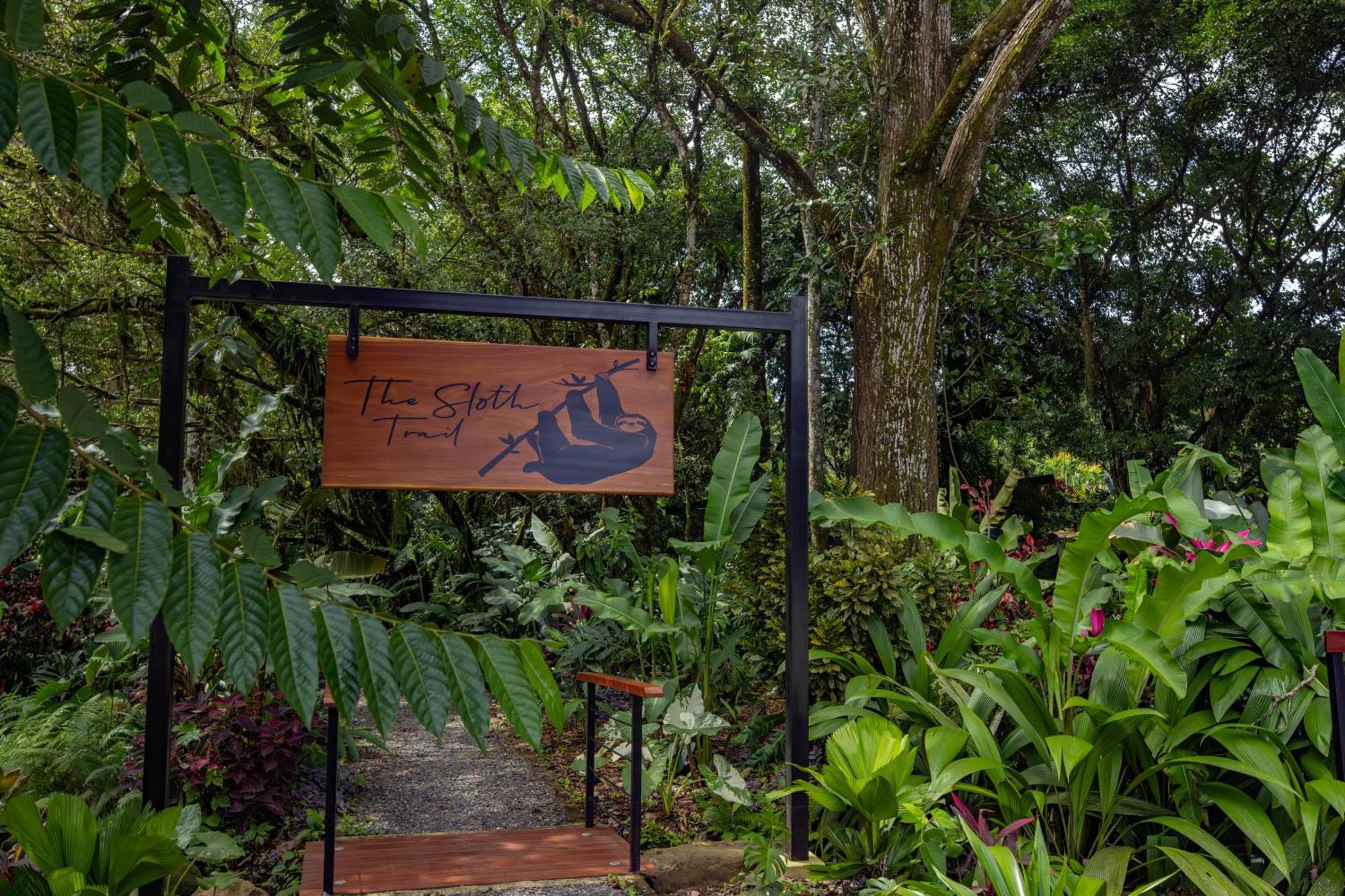 Noah'S Forest Hotel By Tifakara La Fortuna Ngoại thất bức ảnh